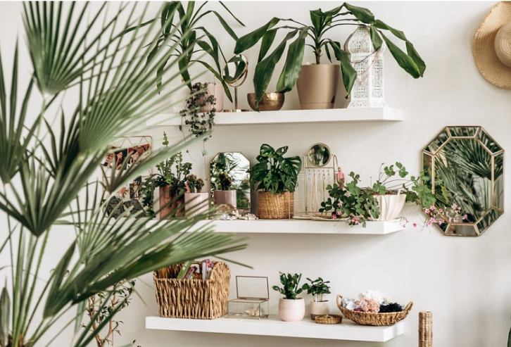 Creative Ways to Stylishly Display Indoor Plants