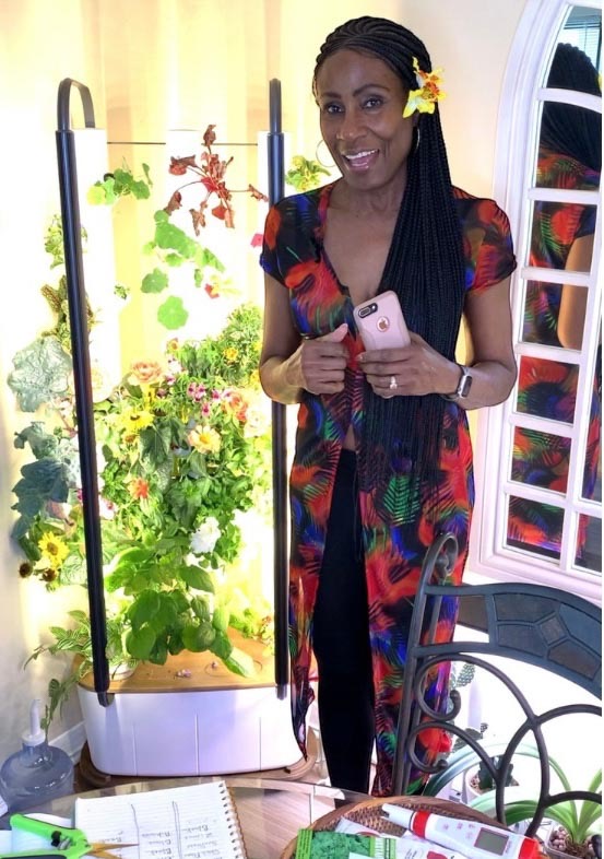 Picture of Flower Gardyn Adrienne Adrienne